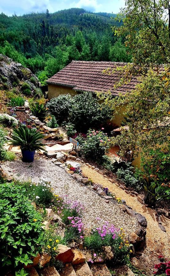 Ferienwohnung Quinta Do Cabril Serpins Exterior foto